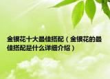 金銀花十大最佳搭配（金銀花的最佳搭配是什么詳細介紹）