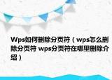 Wps如何刪除分頁(yè)符（wps怎么刪除分頁(yè)符 wps分頁(yè)符在哪里刪除介紹）