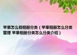 蘋果怎么將相冊分類（蘋果相冊怎么分類管理 蘋果相冊分類怎么分類介紹）