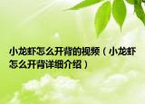小龍蝦怎么開背的視頻（小龍蝦怎么開背詳細介紹）