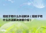 招蚊子有什么辦法解決（招蚊子有什么辦法解決詳細(xì)介紹）