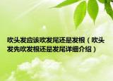 吹頭發(fā)應(yīng)該吹發(fā)尾還是發(fā)根（吹頭發(fā)先吹發(fā)根還是發(fā)尾詳細(xì)介紹）
