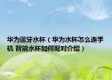 華為藍(lán)牙水杯（華為水杯怎么連手機(jī) 智能水杯如何配對介紹）
