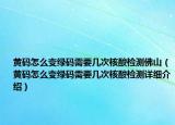 黃碼怎么變綠碼需要幾次核酸檢測(cè)佛山（黃碼怎么變綠碼需要幾次核酸檢測(cè)詳細(xì)介紹）