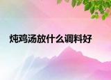 燉雞湯放什么調(diào)料好