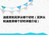 油麥菜和萵筍尖哪個好吃（萵筍尖和油麥菜哪個好吃詳細介紹）
