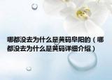 哪都沒去為什么是黃碼阜陽的（哪都沒去為什么是黃碼詳細介紹）