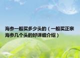 海參一般買多少頭的（一般買正宗海參幾個(gè)頭的好詳細(xì)介紹）