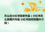 怎么在小紅書里發(fā)作品（小紅書怎么發(fā)圖片作品 小紅書如何發(fā)圖片介紹）