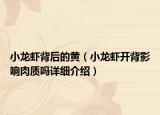 小龍蝦背后的黃（小龍蝦開背影響肉質(zhì)嗎詳細介紹）