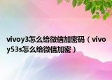 vivoy3怎么給微信加密碼（vivoy53s怎么給微信加密）