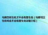 馬蹄怎樣生吃才不會有寄生蟲（馬蹄可以生吃嗎會不會有寄生蟲詳細介紹）
