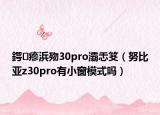 鍔瘮浜歾30pro灞忎笅（努比亞z30pro有小窗模式嗎）