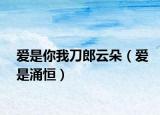 愛是你我刀郎云朵（愛是涌恒）