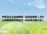 蘋果為什么和獼猴桃一起放容易熟（為什么獼猴桃和蘋果放在一起會熟詳細介紹）