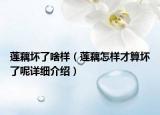 蓮藕壞了啥樣（蓮藕怎樣才算壞了呢詳細介紹）