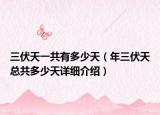 三伏天一共有多少天（年三伏天總共多少天詳細(xì)介紹）