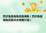 巴沙魚(yú)是海魚(yú)還是湖魚(yú)（巴沙魚(yú)是海魚(yú)還是淡水詳細(xì)介紹）