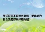 羅氏蝦是不是沒有蝦線（羅氏蝦為什么沒有蝦線詳細介紹）