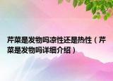 芹菜是發(fā)物嗎涼性還是熱性（芹菜是發(fā)物嗎詳細(xì)介紹）