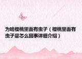 為啥櫻桃里面有蟲子（櫻桃里面有蟲子是怎么回事詳細(xì)介紹）