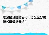 怎么區(qū)分螃蟹公母（怎么區(qū)分螃蟹公母詳細(xì)介紹）