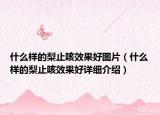 什么樣的梨止咳效果好圖片（什么樣的梨止咳效果好詳細介紹）