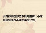 小龍蝦哪些部位不能吃圖解（小龍蝦哪些部位不能吃詳細介紹）
