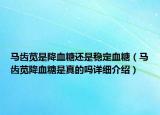 馬齒莧是降血糖還是穩(wěn)定血糖（馬齒莧降血糖是真的嗎詳細(xì)介紹）