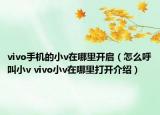 vivo手機(jī)的小v在哪里開啟（怎么呼叫小v vivo小v在哪里打開介紹）