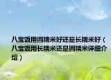 八寶飯用圓糯米好還是長糯米好（八寶飯用長糯米還是圓糯米詳細(xì)介紹）