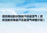 泥灸排出的水珠是汗還是濕氣（泥灸出的水珠是汗還是濕氣詳細(xì)介紹）