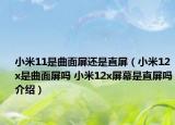 小米11是曲面屏還是直屏（小米12x是曲面屏嗎 小米12x屏幕是直屏嗎介紹）