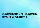 怎么看獼猴桃壞了沒（怎么看獼猴桃是不是壞了詳細(xì)介紹）