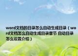 word文檔的目錄怎么自動(dòng)生成目錄（word文檔怎么自動(dòng)生成目錄章節(jié) 自動(dòng)目錄怎么設(shè)置介紹）