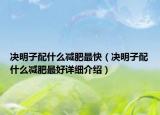 決明子配什么減肥最快（決明子配什么減肥最好詳細介紹）