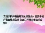 真我手機(jī)開發(fā)者選項(xiàng)從哪里找（真我手機(jī)開發(fā)者選項(xiàng)在哪 怎么打開開發(fā)者選項(xiàng)介紹）