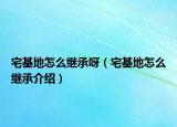 宅基地怎么繼承呀（宅基地怎么繼承介紹）