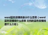 word藍(lán)色雙橫線(xiàn)表示什么意思（word藍(lán)色雙橫線(xiàn)什么意思 文檔的藍(lán)色雙橫線(xiàn)是什么介紹）