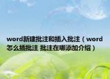 word新建批注和插入批注（word怎么插批注 批注在哪添加介紹）