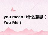 you mean it什么意思（You Me）