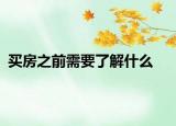 買房之前需要了解什么