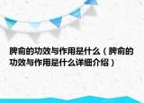 脾俞的功效與作用是什么（脾俞的功效與作用是什么詳細介紹）