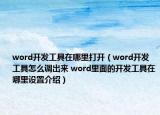 word開(kāi)發(fā)工具在哪里打開(kāi)（word開(kāi)發(fā)工具怎么調(diào)出來(lái) word里面的開(kāi)發(fā)工具在哪里設(shè)置介紹）