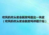 吹風(fēng)機(jī)吹頭發(fā)會脫發(fā)嗎露出一塊皮（吹風(fēng)機(jī)吹頭發(fā)會脫發(fā)嗎詳細(xì)介紹）