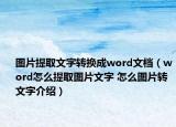 圖片提取文字轉(zhuǎn)換成word文檔（word怎么提取圖片文字 怎么圖片轉(zhuǎn)文字介紹）