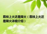 荔枝上火還是降火（荔枝上火還是降火詳細(xì)介紹）