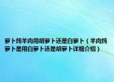 蘿卜燉羊肉用胡蘿卜還是白蘿卜（羊肉燉蘿卜是用白蘿卜還是胡蘿卜詳細介紹）
