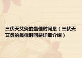 三伏天艾灸的最佳時間是（三伏天艾灸的最佳時間是詳細(xì)介紹）
