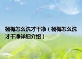 楊梅怎么洗才干凈（楊梅怎么洗才干凈詳細(xì)介紹）